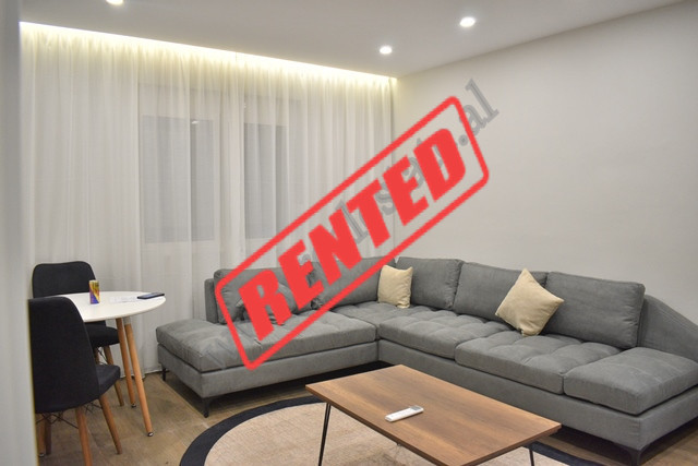 Apartament 1+1 me qira ne zonen e ish Parkut ne Tirane